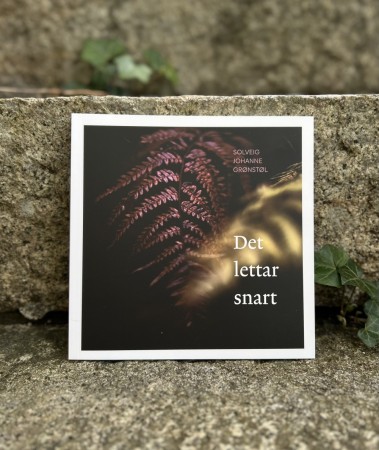 Det lettar snart - Signert 